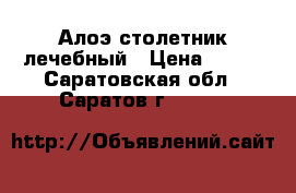 Алоэ столетник лечебный › Цена ­ 800 - Саратовская обл., Саратов г.  »    